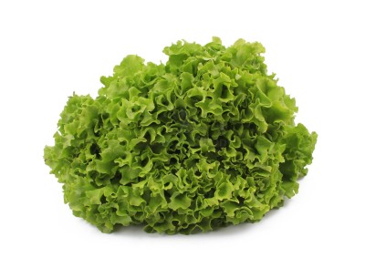 Салат романо 1 кг - купить в Усабаше